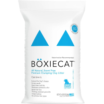 BOXIECAT Scent Free Clay 18.1kg
