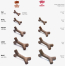 BENEBONE Dog Chew - Maplestick M