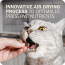 REDBARN AIR DRIED Cat POWERFOOD Chicken 2lb