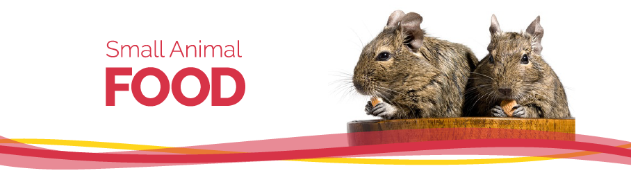 Small Animal, Essential Food for Small Pets