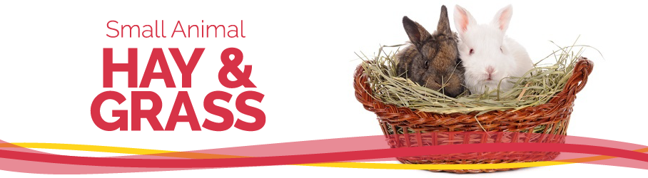 Small Animals, Hay and Grass for Small Pets