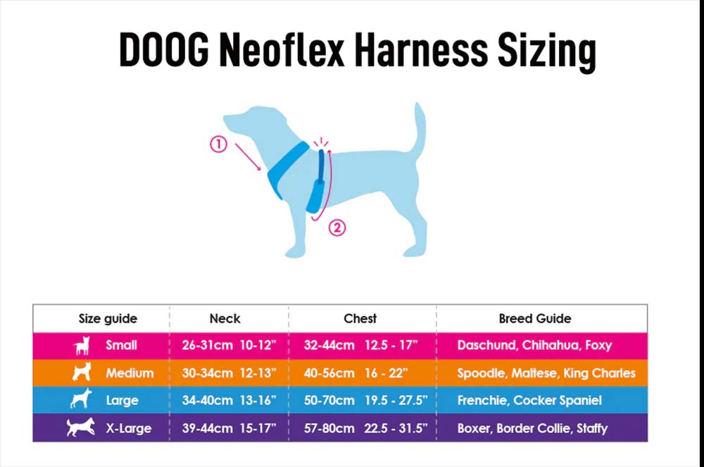 DOOG Sizing Charts