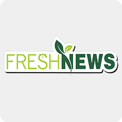 Fresh News Litter Recycled Paper Cat Litter & Pet Bedding