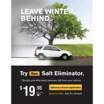 POSTER - SALT ELIMINATOR 22 X 28