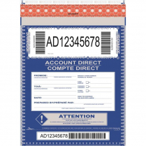 BAG, SELF SEALING ACCOUNT DIRECT, 12X17