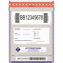 BAG, SELF SEALING DEPOSIT, 12X17 (STOCK)