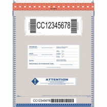 BAG, SELF SEALING DEPOSIT, 15X20 (STOCK)