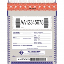BAG, SELF SEALING DEPOSIT, 9X12 (STOCK)