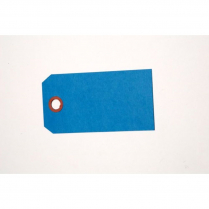 TAGS, SHIPPING, PLAIN BLUE 2"X4" SIZE #4