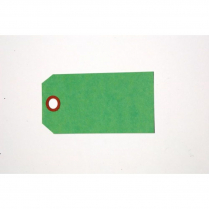 TAGS, SHIPPING, PLAIN GREEN 2"X4" SIZE #4