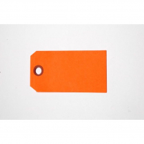 TAGS, SHIPPING, PLAIN ORANGE 2"X4" SIZE #4