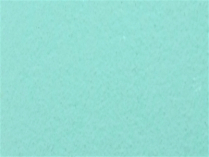 Sider-Proof roll on pool plaster - Cyan