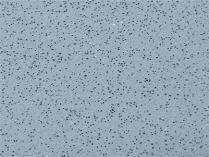 Sider-Proof roll on pool plaster - Speckled Cobalt