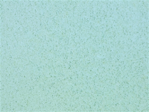 Sider-Proof roll on pool plaster - Speckled Glacier