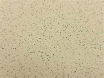 Sider-Proof roll on pool plaster - Speckled Mojave