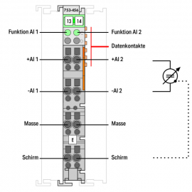 WAGO | 753-456 | 2-CHANNEL ANALOG INPUT; &plusmn;10 VDC; DIFFERENTI