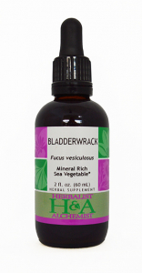 Bladderwrack Extract