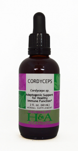 Cordyceps Extract