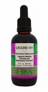 Ground Ivy Extract