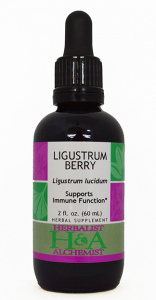 Ligustrum Berry Extract