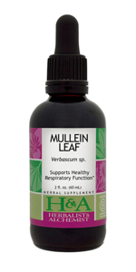 Mullein Extract