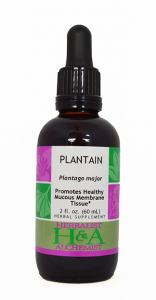 Plantain Extract