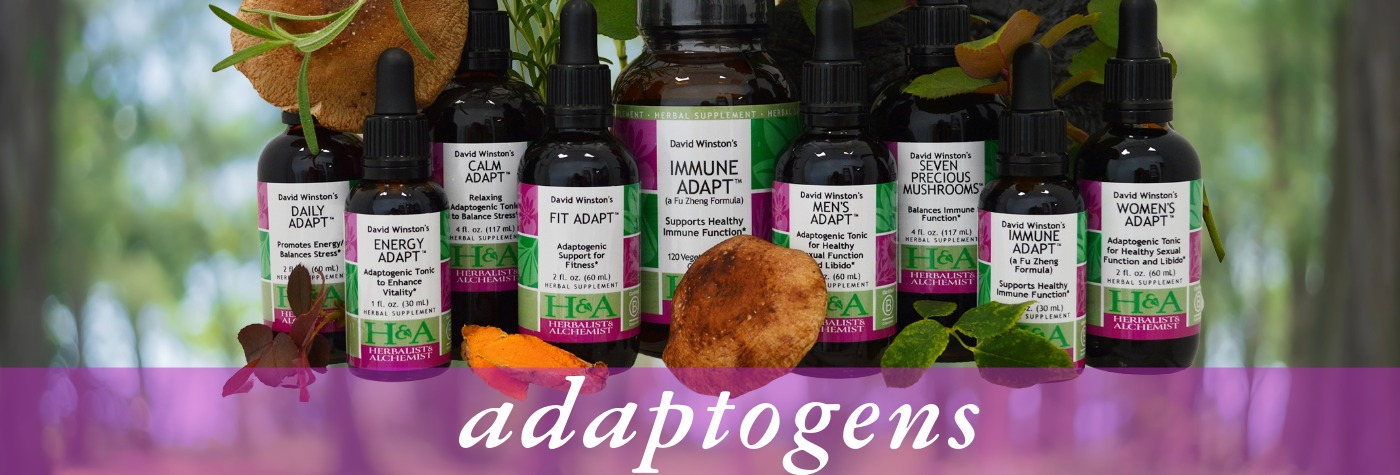 herbalist and alchemist adptogens