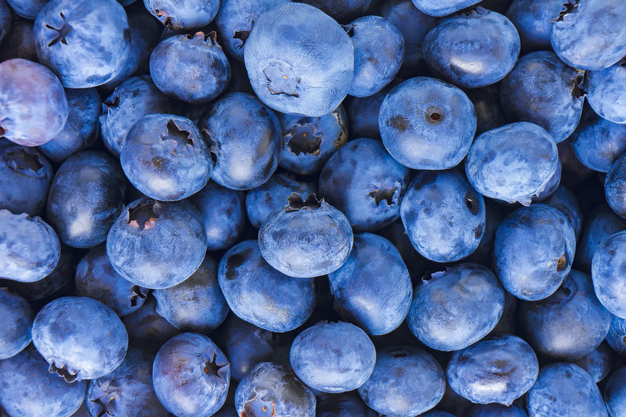 blueberries.