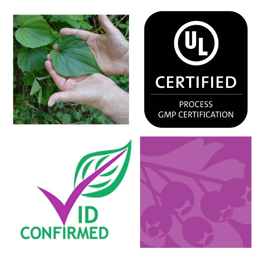 GMP Certified by UL Lab and ID confirmed. 