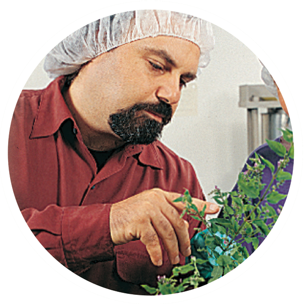 finished extract image