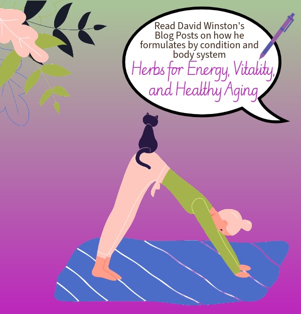 Blog on Herbs for Energy, Vitality, and Healthy Aging