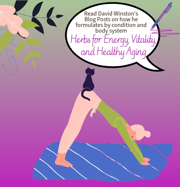 Blog Post on Herbs for Energy, Vitality and Healthy Aging.