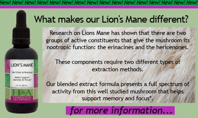 New at H&A: Lion's Mane Extract.
