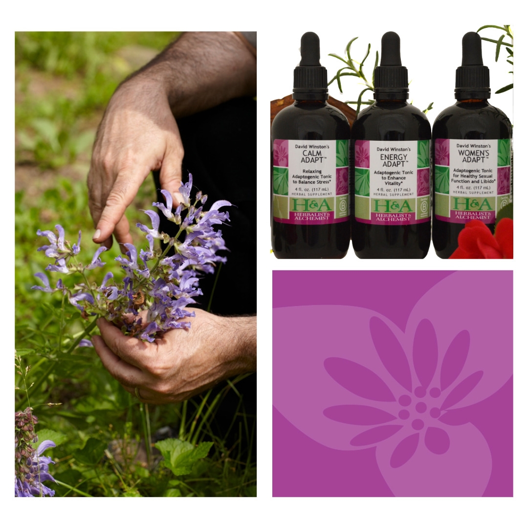 What is Spagyric Alchemy? 