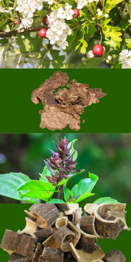 Hawthorn, Mimosa bark, Ashwagandha, Holy Basil.