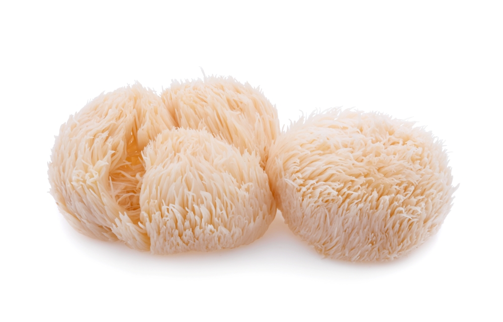 Lion's Mane mushroom.