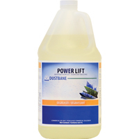 51359 POWER LIFT INDUSTRIAL DEGREASER 4L