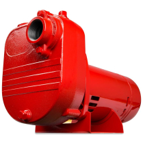 3125-344 HH REDLION PUMP