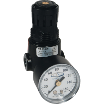 Wilkerson Miniature Regulator R04, 1/4" NPT, 300 psi