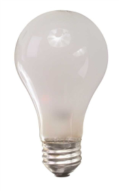 BULB, 100 WATT ROUGH SERVICE