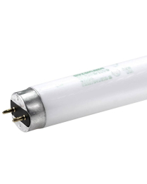 SYLVANIA FLUORESCENT LAMP 32 W, T8, 4100 KM 48" LONG 30/CASE