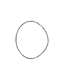 #213855-6 O-RING