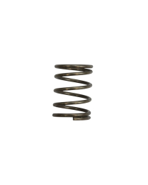 #231281-7 SPRING