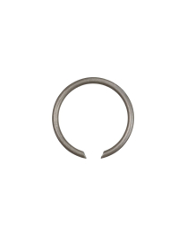 #233973-4  RING SPRING