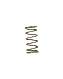 #234109-8 SPRING