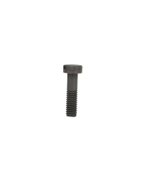 #251441-5 SCREW