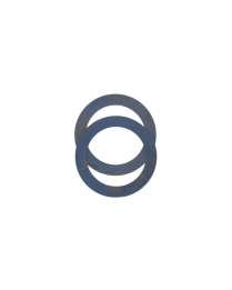 #253313-0 WASHER