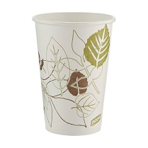 WBB3181158 DIXIE PATHWAY PAPER HOT CUPS 16OZ 50PK