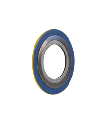 3" 300# SWG 304SS/FG CS-OR 304SS-IR