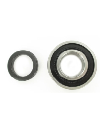 SKF RW207-CCRA BEARING